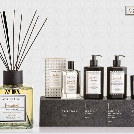 La Maison Bleue Juillac  Ngoại thất bức ảnh