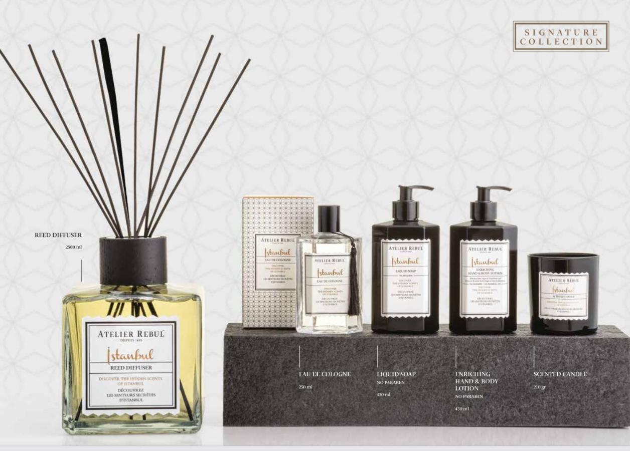 La Maison Bleue Juillac  Ngoại thất bức ảnh